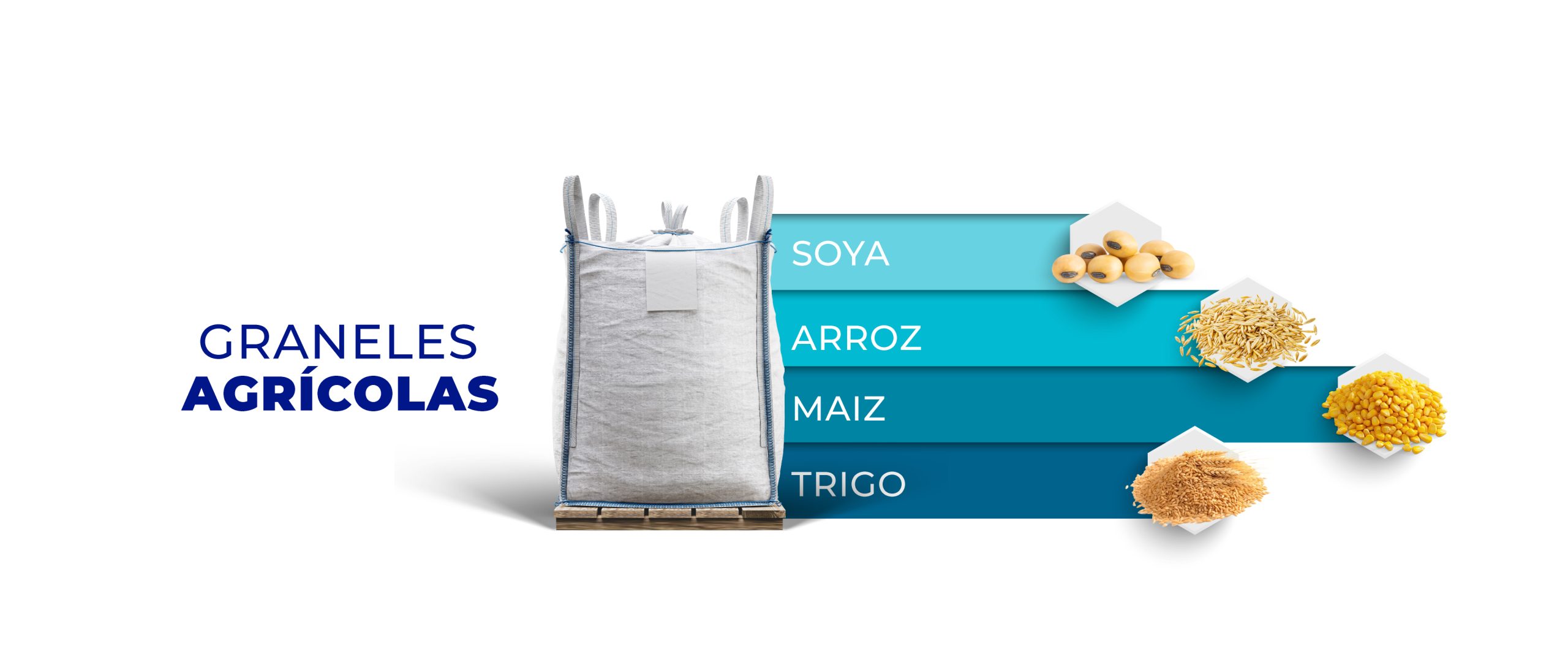 granes agricolas, soja, maiz, arroz, trigo